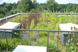 Green Roofs To Reduce Heat Islands