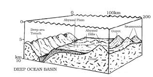 cl 11 geography ncert solutions