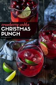 cranberry vodka christmas punch recipe
