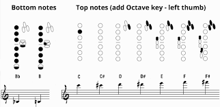 The Best Saxophone Fingering Charts