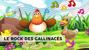Le rock des gallinacés, chansons pour enfants