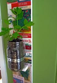 Mason Jar Herb Garden That Hangs Mod