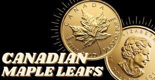 all about canadian gold maple leafs