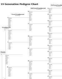 15 Generation Pedigree Chart 29 X 23 Two Sides 2 Pack Folded