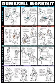 Some Dumbell Workouts That Target Your Chest Biceps