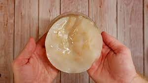 how to grow a scoby without kombucha