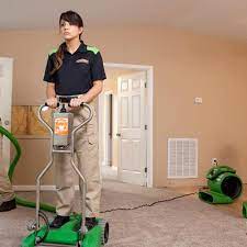 carpet cleaning in wexford county