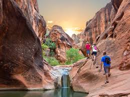 hiking zion national park and beyond