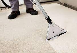 carpet cleaning auckland professional