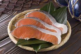 what is coho salmon