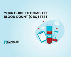 Complete blood count test (cbc) test is done in the early stages of pregnancy to determine any how to prepare for the cbc test. Your Guide To Complete Blood Count Cbc Test Read Out All Health Articles At One Place Redheal