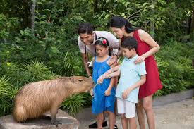 Enjoy a night safari and get a unique insight into your favorite animals. Aquatic Animals Natural Prowess To Headline River Safari S New Animal Presentation