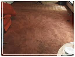 carpet cleaning williamstown 03 4050