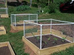 Building Garden Fence Boxes Grit