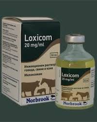 Loxicom Injection For Sheep Loxicom Cattle Datasheet