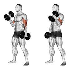 arm workout with dumbbells at home