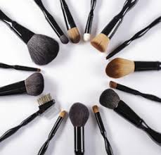 professional makeup brush sets
