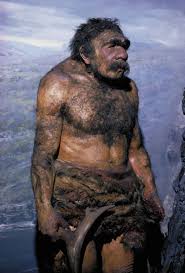 Neanderthal | Characteristics, DNA, & Facts | Britannica