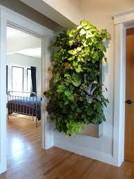 plants on walls vertical garden systems
