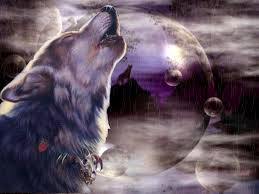Cool wolf wallpapers for every device. Cool Wolf Backgrounds Wallpaper Cave