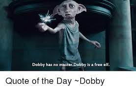 She was the faintest scent of a cactus flower, the flitting shadow of an elf owl. Dobby Has No Masterdobby Is A Free Elf Quote Of The Day Dobby Elf Meme On Me Me