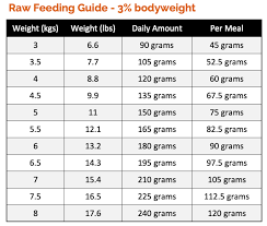 Feeding your kitten, made easy! How Much Raw Food To Feed A Cat Check Our Raw Feeding Guides Cat Feeding Cat Feeding Guide Raw Feeding For Dogs