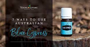 7 ways to use australian blue cypress