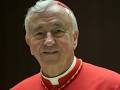 Image result for Photo of Cardinal vinceNT Nichols