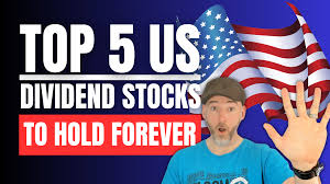 top 5 us stocks to hold forever