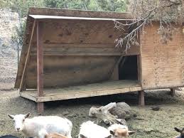 10 diy goat shelter plans tips for