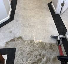 next level carpet care servicezoom