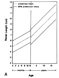 Growth Parameters In Neonates Kidney Growth Chart