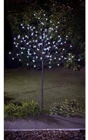 They are also known as japanese cherry and sakura. Good Looking Led Solar Blossom Tree 4ft Amazon Co Uk