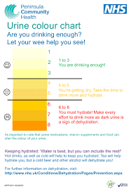 Urine Color Chart Peninsula Community Health Download