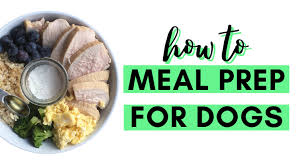 dog food meal prep 101
