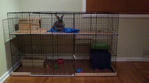 adding a second story to cage binkybunny