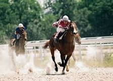 why-do-they-hit-horses-when-racing