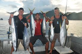 Marlin Fishing In American Samoa Marlin Magazine