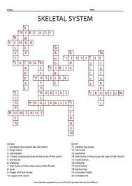 Our free online crosswords for the vocabulary list, anatomy (bones), are just a taste of our online study tools! Skeletal System Crossword Puzzle By Organized Homeschool Mama Tpt
