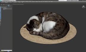 Image result for sleeping cat