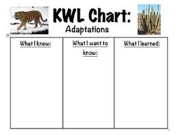 Kwl Chart Adaptations Chart Animal Adaptations
