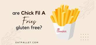 are fil a fries gluten free