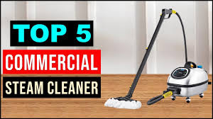 top 5 best commercial steam cleaner