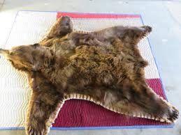 red brown bear skin rug b
