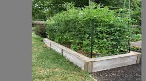 raised garden beds mean better drainage