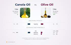 olive oil vs canola oil
