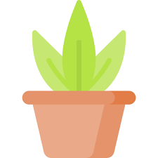 Plant Pot Special Flat Icon