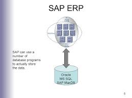 Enterprise resource planning (erp) software allows for integration and management of erp software is considered to be a type of enterprise application, that is software designed to be used. Introduction To Sap Summer Workshops Erp What Are Enterprise Resource Planning Erp Systems Incredibly Large Extensive Software Packages Used Ppt Download