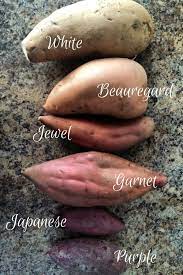 meg approved guide to sweet potatoes
