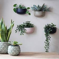 Colourful Ceramic Wide Wall Planters